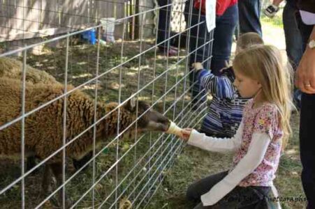 Homesteading Month Brings Country Skills Workshop to Today’s Abundant Living Image